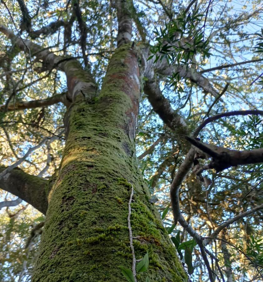Vale Das Aguas Cambará Buitenkant foto